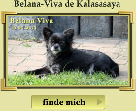 finde mich Belana-Viva de Kalasasaya